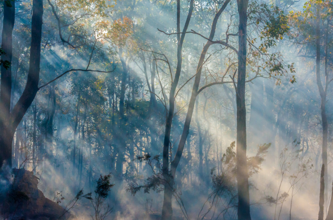 Bushfires, mental health and workplace flexibility